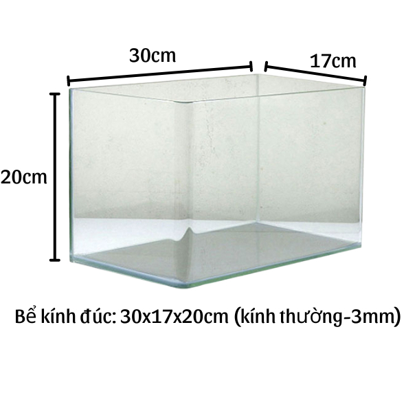 BỂ CÁ MINI 30x17x20 CONG CẠNH