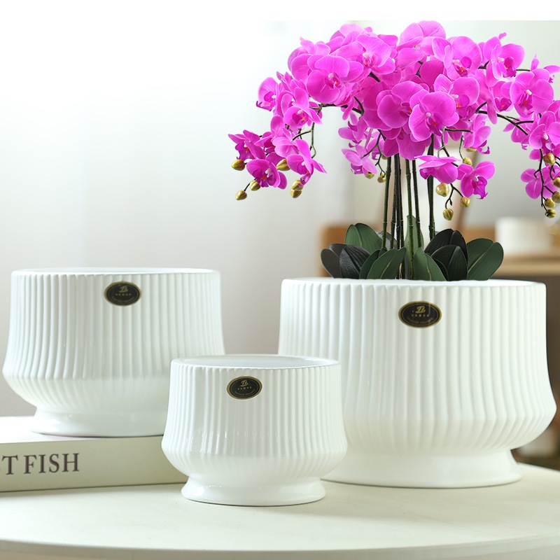 Chậu sứ trồng lan, chậu sứ dáng cái ly, chậu trồng cây to đẹp phong cách Bắc Âu phù hợp trồng cây vă