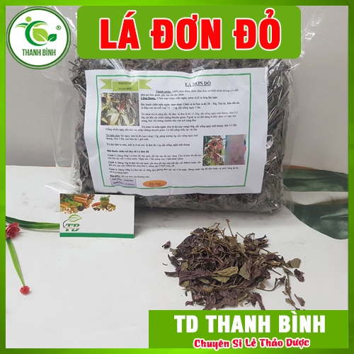 Lá Đơn Đỏ Sấy Khô 100g - Thảo Dược Uy Tín 100% Tự Nhiên