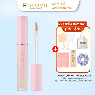  Che khuyết điểm Aperire Daydream Cover Tip Concealer  4.5ml  