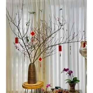  Sale bình chuông lọ chuông Bát Tràng cắm cành đào mận tuyết mai cắm hoa siêu đẹp 