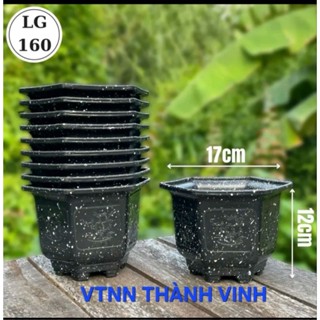  Combo 10 Cái Chậu Lục Giác 160   Miệng 17cm x Cao 12cm   Hàng Dày  Chậu Nhựa Trồng Hoa 