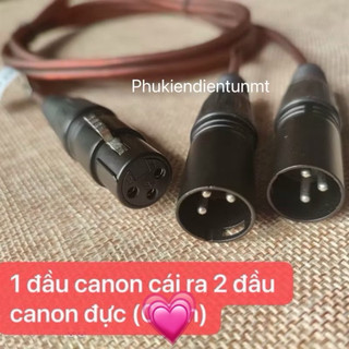 Dây chuyển đổi 1 đầu canon cái ra 2 đầu canon đực 1.2m