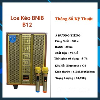 Loa Kéo Hát Karaoke BNIB B12 Bass 30 Cao Cấp Loa Kẹo Kéo Nhạc Cực Chất  Hát cực hay