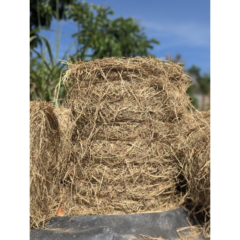 Rơm cuộn trang trí Tết(1 cuộn/1 ₫ơn) sự kiện, làm nấm