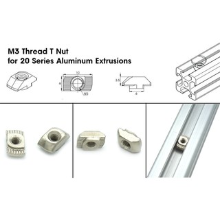 Con trượt quả trám
