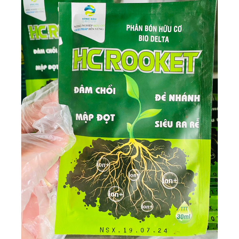 HCROOKET RA CHÒI RA RỄ MẬP ĐỌT ĐẺ NHÁNH