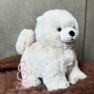 [CHÍNH HÃNG] CHÓ JELLYCAT DAPHNE POMERANIAN