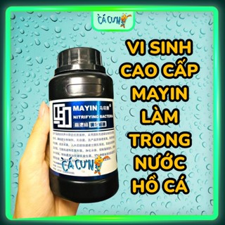  Vi Sinh Bể Cá Mayin - Chuyên Xử Lý Chất thải Làm Trong Nước Hồ Cá Rồng Cá Koi Hồ Thủy Sinh  CTY  