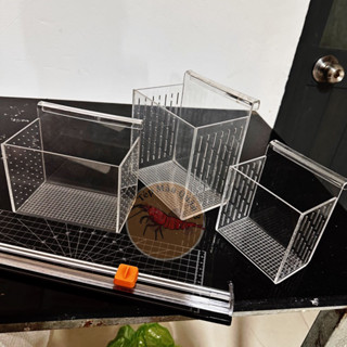 BOX  MICA CHUYÊN SHOW - TÁCH TÉP CẢNH - CÁ CẢNH - TÉP MÀU QUẬN 3