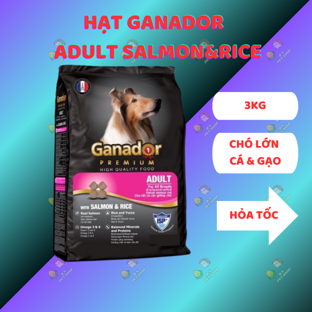 [3KG] Hạt Ganador Adult Salmon & Rice 3kg - thức ăn cho chó trưởng thành vị cá hồi & gạo