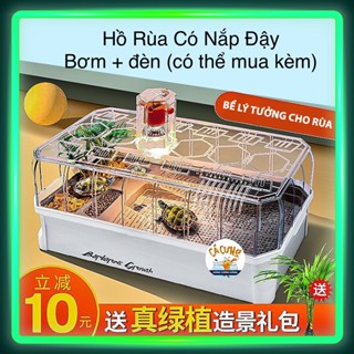  Hồ Nuôi Rùa Nước Cao Cấp Chuyên Dụng - Bể Rùa GG-06  XL  Size To 65x33x24  Hàng Nhập Khẩu  