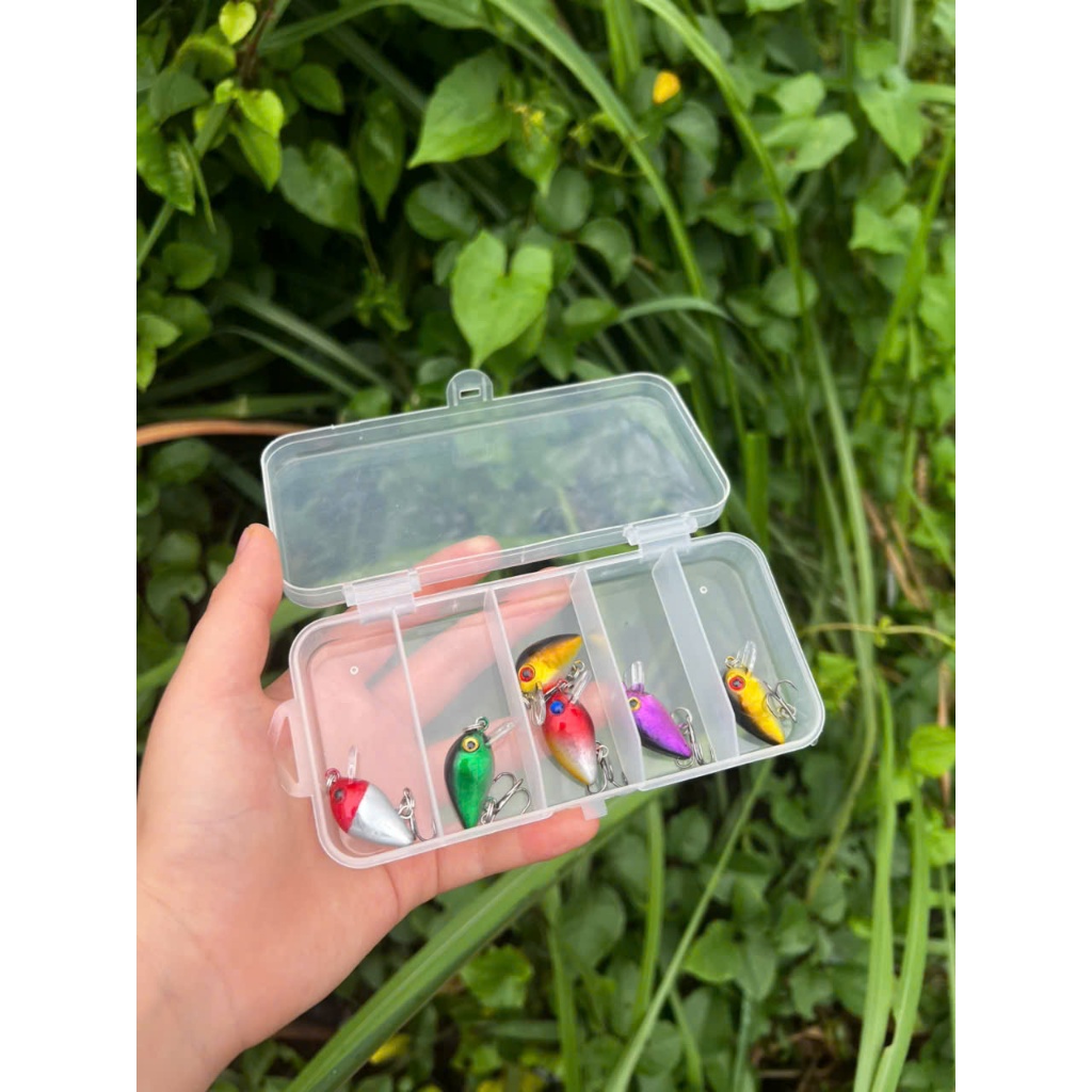 Combo mồi ruồi câu lure