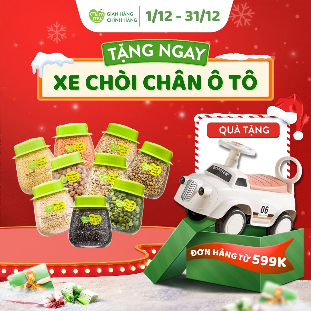 Đậu Hạt Hữu Cơ Cho Bé Ăn Dặm Mămmy: Đậu Lăng Đỏ, Đậu Gà, Kiều Mạch, Diêm Mạch, Hạt Chia, Kê Nếp Cho Bé Từ 6 Tháng Tuổi