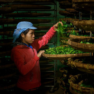Hộp Trà Ôlong (Oolong) Mộc Sơn 100g Nguyên Chất hậu vị ngọt phù hợp làm quà tặng biếu Tết