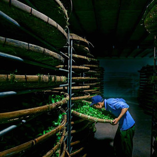 Hộp Trà Ôlong (Oolong) Mộc Sơn 100g Nguyên Chất hậu vị ngọt phù hợp làm quà tặng biếu Tết