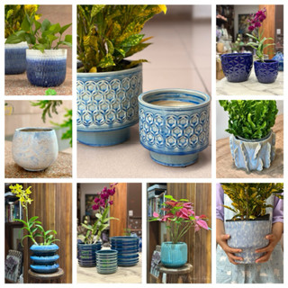 Chậu gốm sứ xuất khẩu men tone Xanh, trồng cây sen đá xương rồng, kiểng lá, lan hồ điệp