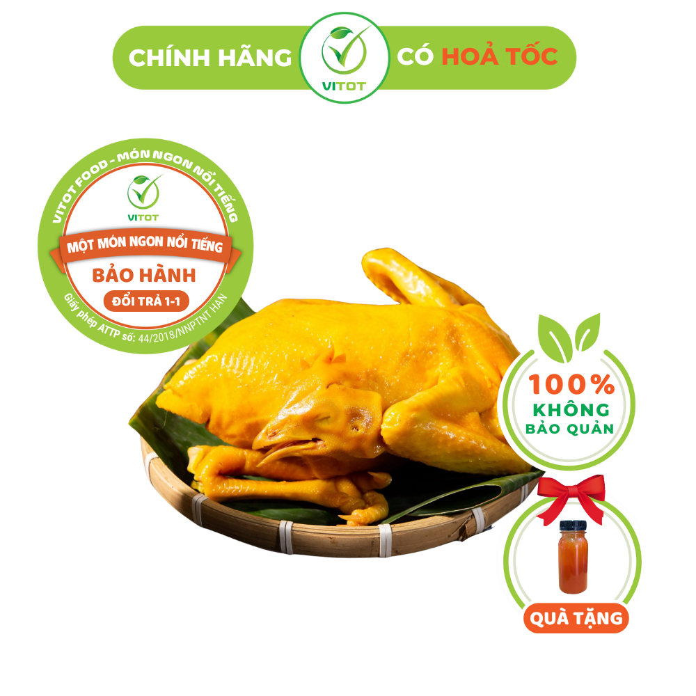 [HỎA TỐC] Gà Ủ Muối Hoa Tiêu Nguyên Con VITOT Thịt Thơm Ngọt Da Giòn