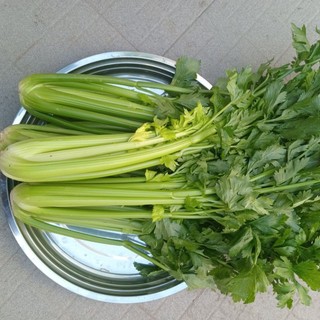 1kg cần tây tươi