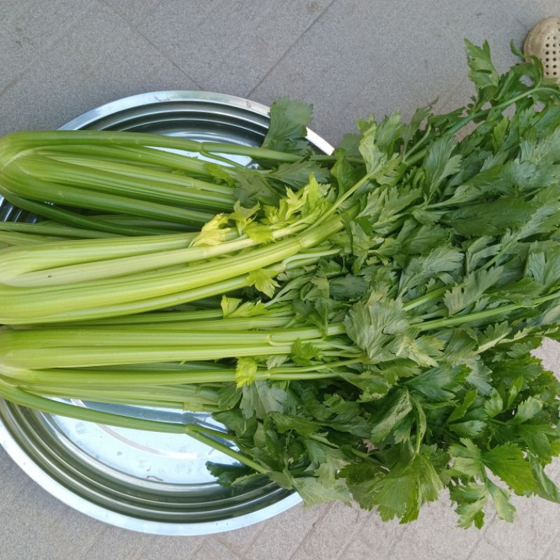 1kg cần tây tươi