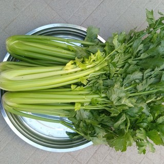 1kg cần tây tươi