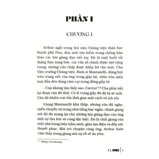 Sách-Ruồi Trâu ( Bìa mềm )