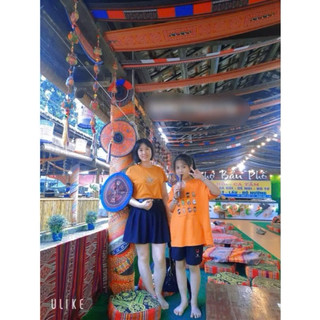 Tấm  tròn thổ Cẩm , trang trí