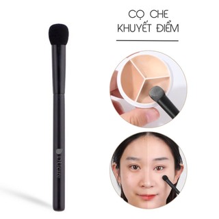 Cọ Trang Điểm Che Khuyết Điểm - Kích Thước 10*2 Cm,Chất Liệu Thân Bằng Nhựa Và Sợi Nylon Và Sợi Tơ Nhân Tạo, Hiệu DUCARE