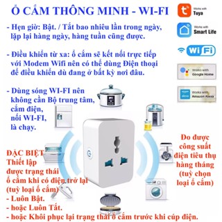 Phích cắm, ổ cắm thông minh, Wifi, Zigbee, Tuya Smart Life, Home Assistant (Hass)-