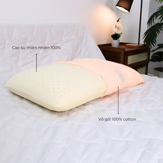 Gối Cao Su Oval Liên Á Size Lớn 45*65*12cm