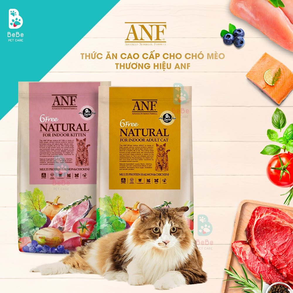 Thức ăn hạt hữu cơ ANF 6Free cho mèo nhỏ 6kg Olong Studio