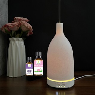 Máy Xông Tinh Dầu Gốm Nghệ Thuật Sang Trọng Làm Quà Tặng Trang Trí Nội Thất Tạo Độ Ẩm Và Hương Thơm