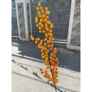 CÀNH ĐÀO ĐÔNG ĐỎ(6 nhánh -12 nhánh)