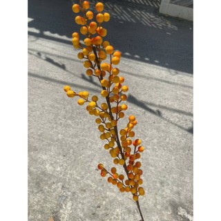 CÀNH ĐÀO ĐÔNG ĐỎ(6 nhánh -12 nhánh)