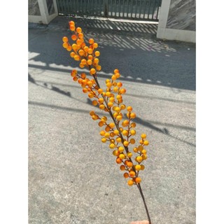 CÀNH ĐÀO ĐÔNG ĐỎ(6 nhánh -12 nhánh)