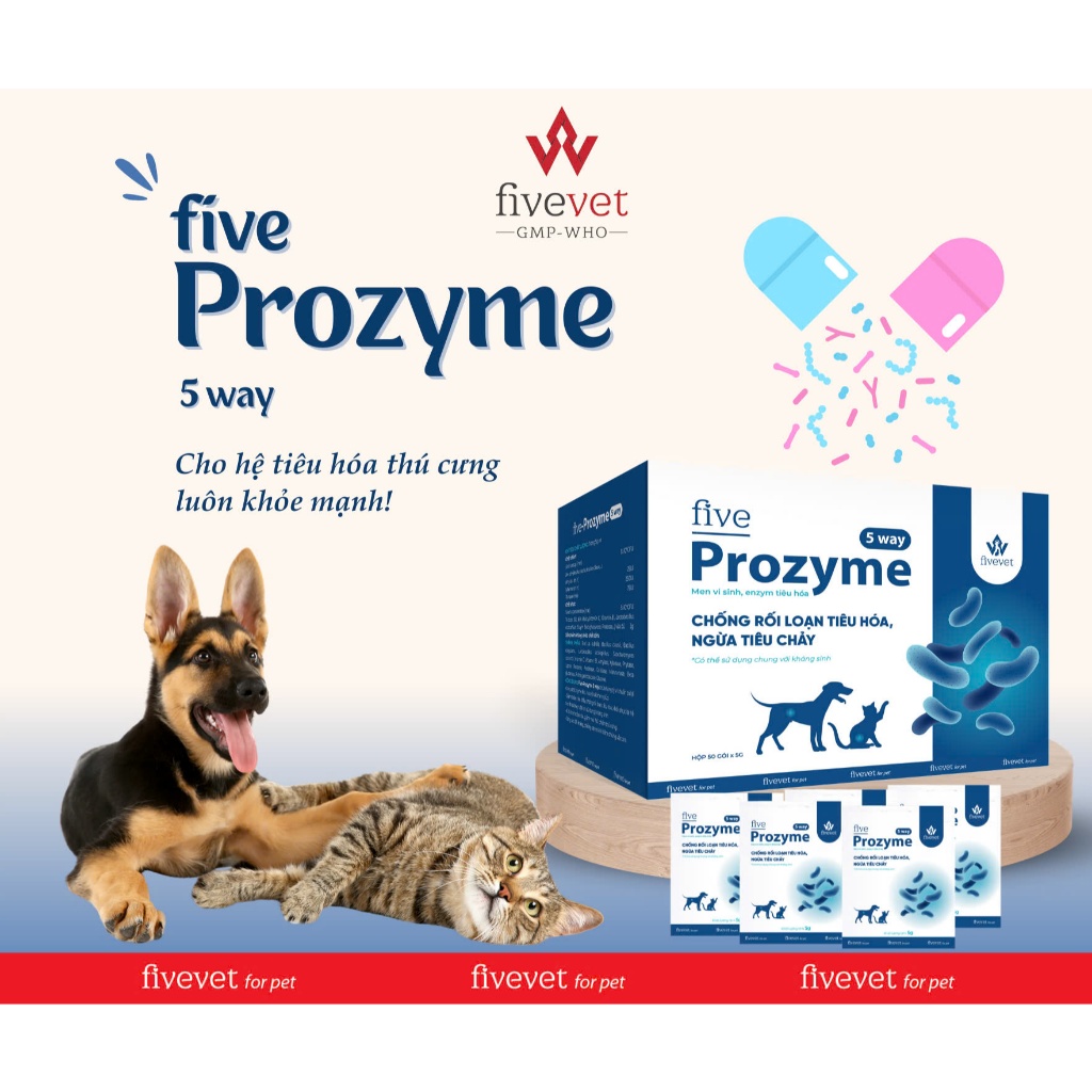 Men tiêu hoá cho chó mèo FIVEVET Prozyme chống rối loạn tiêu hoá ngừa tiêu chảy 5g