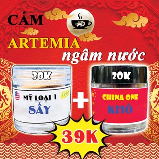 LƯU Ý: ARTEMIA NGÂM NƯỚC MUỐI ! Artemia BECO Mỹ loại 1 - Thức ăn sấy khô cho cá betta guppy con mới đẻ 🐣