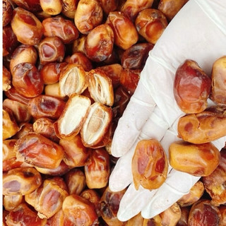 Sỉ thùng chà là ấn độ