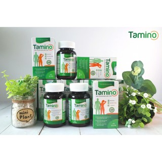 Tăng cân tamino chính hãng giá ưu đãi