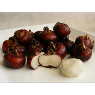 1kg củ mã thầy ( Củ Năng) tươi giòn ngon ngọt mát