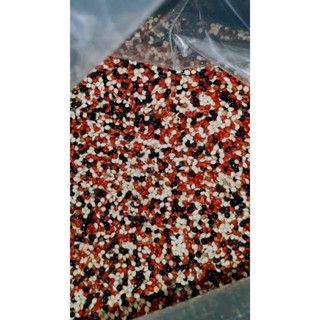 1Kg hạt kê lớn (cỏ thái) dành cho chim