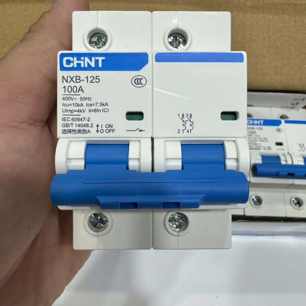 CB Chint, Cầu Dao, Aptomat an toàn MCB-NXB 2 Pha 100A  Chint
