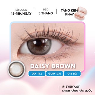 Kính áp tròng EYEIYAGI màu nâu pha xám Daisy Brown DIA 14.5mm lens cận 3 tháng có lệch độ (0-8)