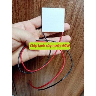 Chip Lạnh Của Cây Nước Nóng Lạnh