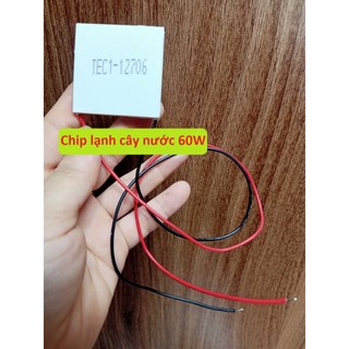Chip Lạnh Của Cây Nước Nóng Lạnh