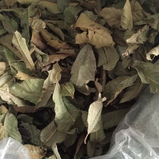 1kg lá ổi sấy lạnh khô hữu cơ