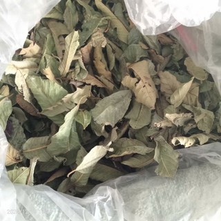 1kg lá ổi sấy lạnh khô hữu cơ