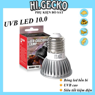 ĐÈN LED UVB 10.0 DÀNH CHO BÒ SÁT HỖ TRỢ CHUYỂN HOÁ CANXI D3 RỒNG ÚC IGUANA RÙA