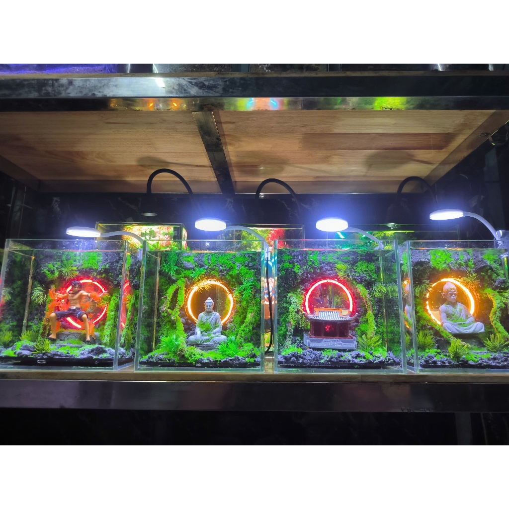 BỂ CÁ MINI - HỒ CÁ BETTA SETUP SẴN TIỂU CẢNH LED HÀO QUANG SIÊU ĐẸP KÍCH THƯỚC 20x20x30 30x20x20cm