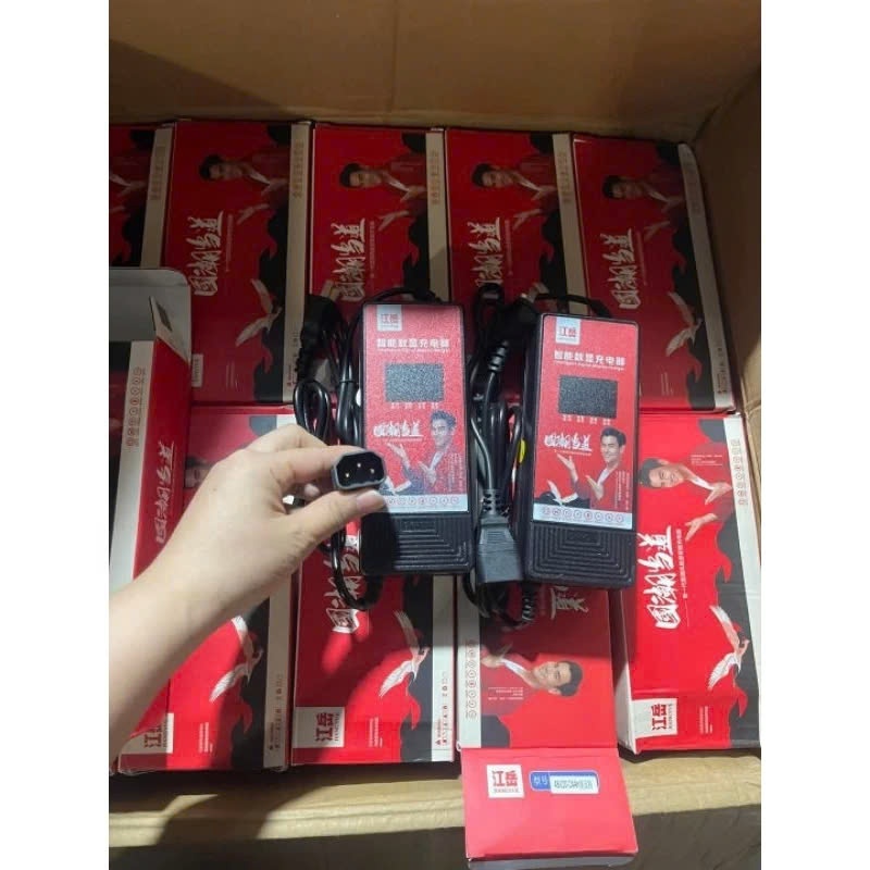 Sạc xe điện 4 bình to  48V-20ah/30ah tự ngắt báo % pin